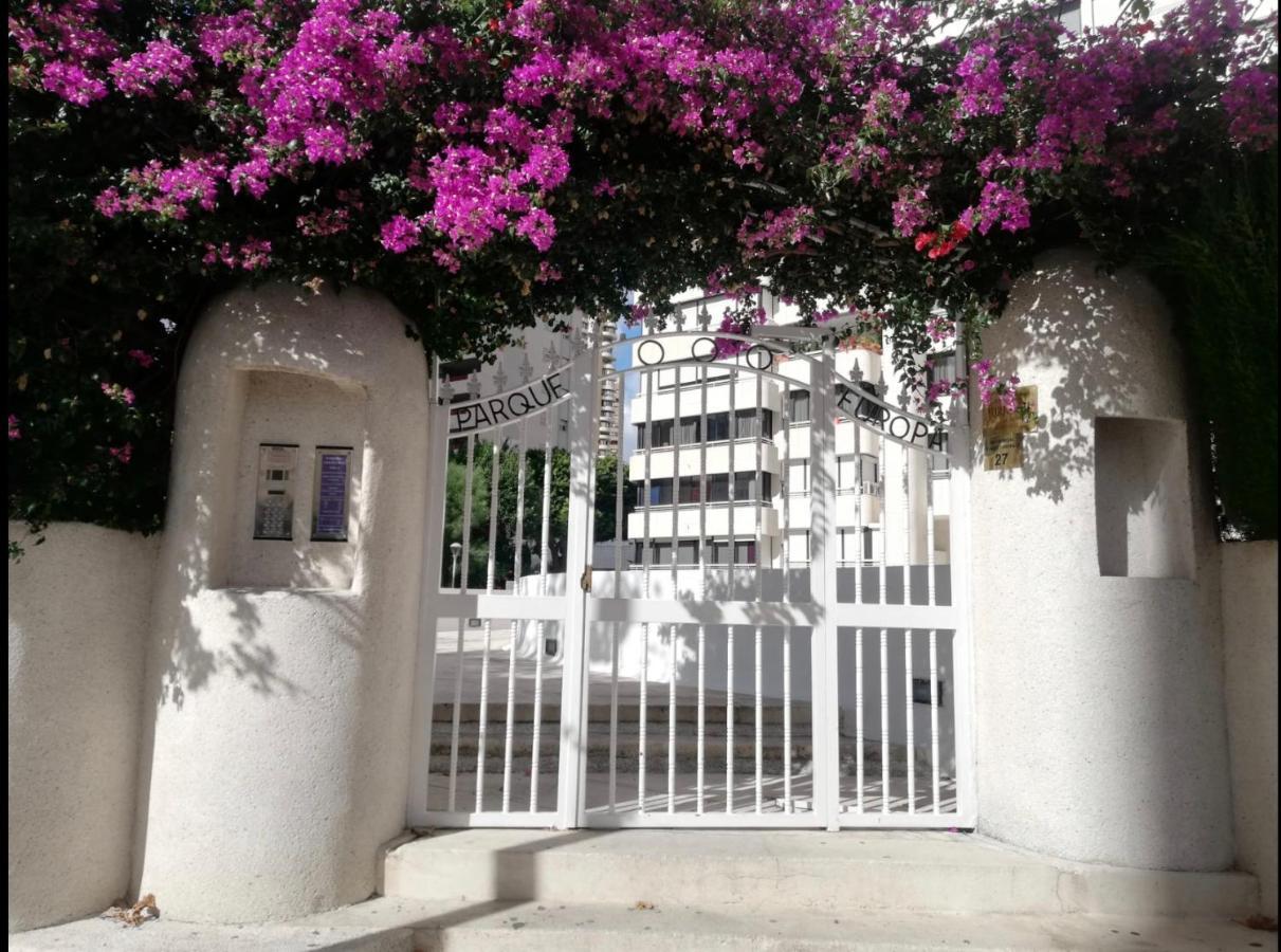 Apartamento Coffee Beach En Parque Europa Benidorm Eksteriør bilde