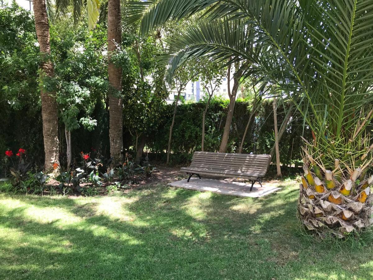 Apartamento Coffee Beach En Parque Europa Benidorm Eksteriør bilde